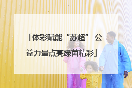 体彩赋能“苏超” 公益力量点亮绿茵精彩