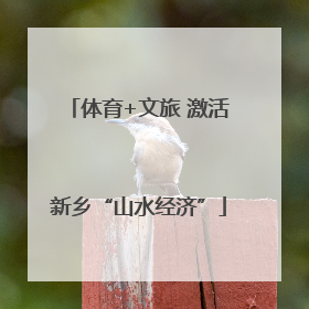 体育+文旅 激活新乡“山水经济”