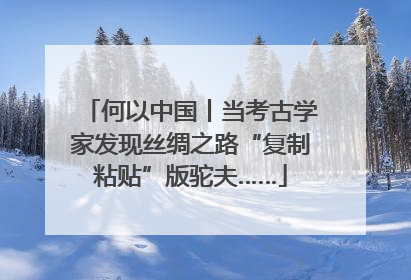 何以中国丨当考古学家发现丝绸之路“复制粘贴”版驼夫……