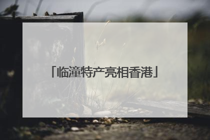 临潼特产亮相香港