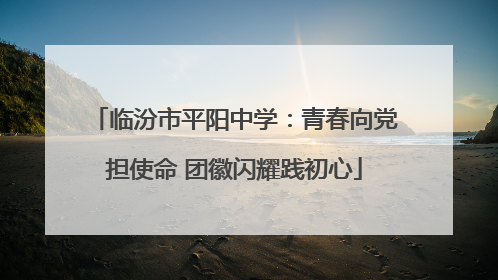 临汾市平阳中学：青春向党担使命 团徽闪耀践初心