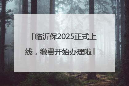 临沂保2025正式上线，缴费开始办理啦