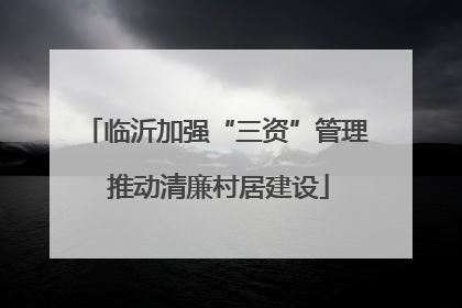 临沂加强“三资”管理 推动清廉村居建设