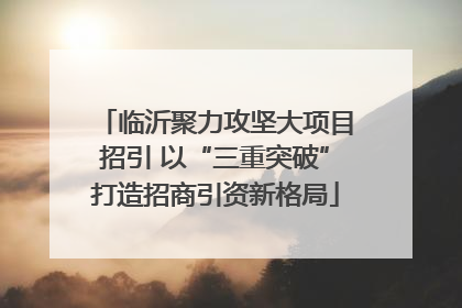 临沂聚力攻坚大项目招引 以“三重突破”打造招商引资新格局