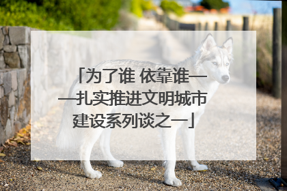 为了谁 依靠谁——扎实推进文明城市建设系列谈之一
