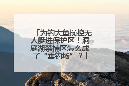 为钓大鱼操控无人艇进保护区！洞庭湖禁捕区怎么成了“垂钓场”？