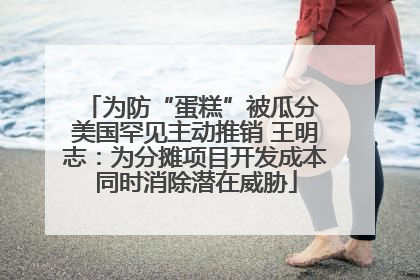 为防“蛋糕”被瓜分 美国罕见主动推销 王明志：为分摊项目开发成本同时消除潜在威胁