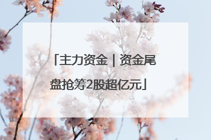 主力资金｜资金尾盘抢筹2股超亿元