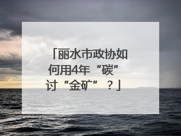 丽水市政协如何用4年“碳”讨“金矿”？