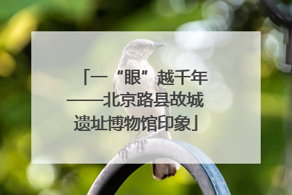 一“眼”越千年——北京路县故城遗址博物馆印象
