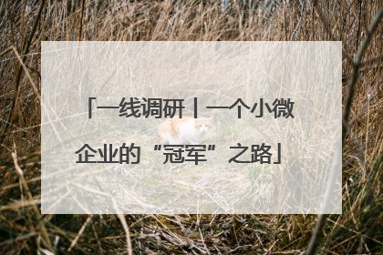一线调研丨一个小微企业的“冠军”之路