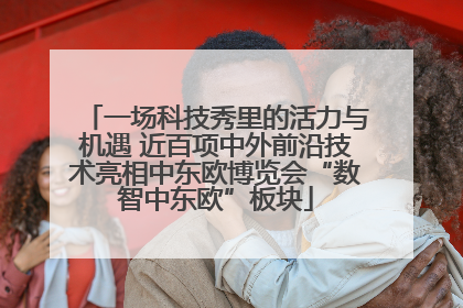一场科技秀里的活力与机遇 近百项中外前沿技术亮相中东欧博览会“数智中东欧”板块