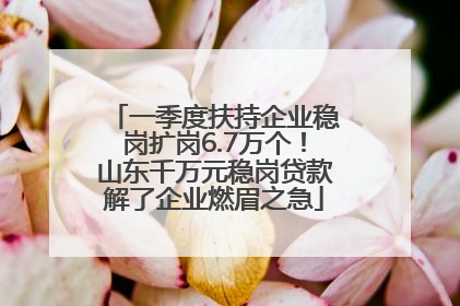 一季度扶持企业稳岗扩岗6.7万个！山东千万元稳岗贷款解了企业燃眉之急