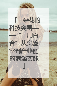 一朵花的科技突围——“三用百合”从实验室到产业链的菏泽实践