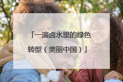 一滴卤水里的绿色转型（美丽中国）