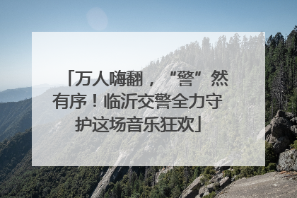 万人嗨翻，“警”然有序！临沂交警全力守护这场音乐狂欢