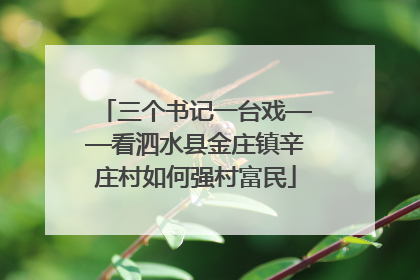 三个书记一台戏——看泗水县金庄镇辛庄村如何强村富民