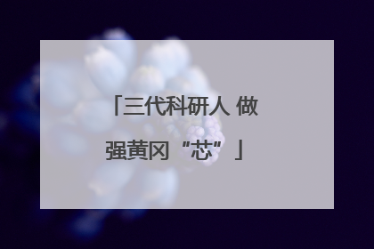 三代科研人 做强黄冈“芯”