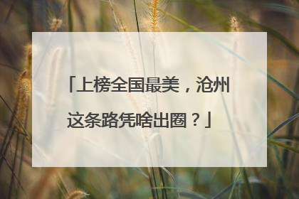 上榜全国最美，沧州这条路凭啥出圈？