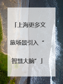 上海更多文旅场景引入“智慧大脑”