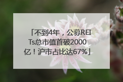不到4年，公募REITs总市值首破2000亿！沪市占比达67%