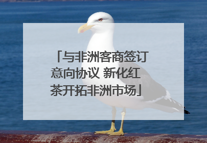 与非洲客商签订意向协议 新化红茶开拓非洲市场