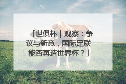 世俱杯｜观察：争议与新意，国际足联能否再造世界杯？