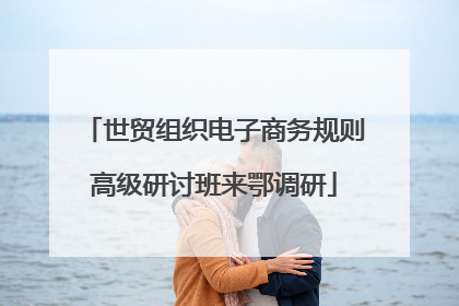 世贸组织电子商务规则高级研讨班来鄂调研