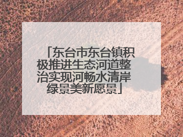 东台市东台镇积极推进生态河道整治实现河畅水清岸绿景美新愿景