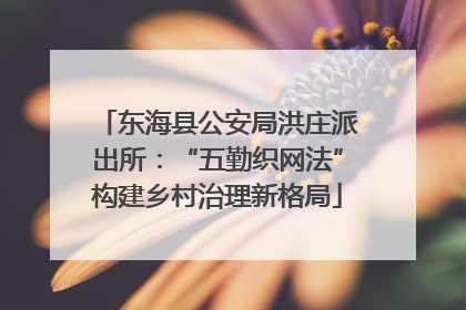 东海县公安局洪庄派出所：“五勤织网法”构建乡村治理新格局