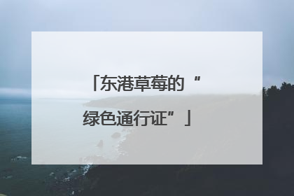 东港草莓的“绿色通行证”