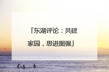 东湖评论：共建家园，思进图强