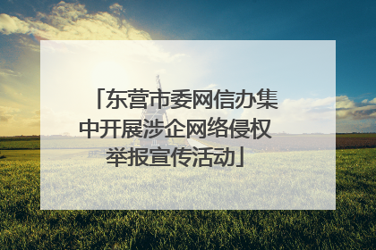 东营市委网信办集中开展涉企网络侵权举报宣传活动