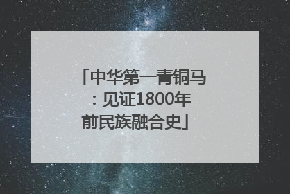 中华第一青铜马：见证1800年前民族融合史