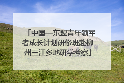 中国—东盟青年领军者成长计划研修班赴柳州三江多地研学考察