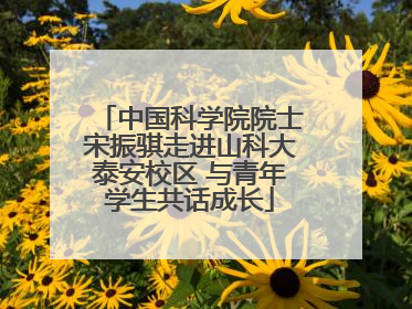 中国科学院院士宋振骐走进山科大泰安校区 与青年学生共话成长
