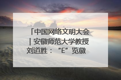 中国网络文明大会｜安徽师范大学教授刘道胜：“E”览徽风，构筑中华民族共有精神家园