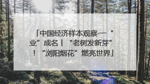 中国经济样本观察·一“业”成名丨“老树发新芽”！“浏阳烟花”燃亮世界