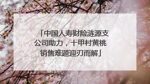 中国人寿财险涟源支公司助力，十甲村黄桃销售难题迎刃而解