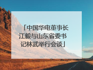 中国华电董事长江毅与山东省委书记林武举行会谈