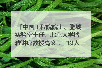 中国工程院院士、鹏城实验室主任、北京大学博雅讲席教授高文：“以人为本 智能向善” 推动文化与科技相生相促｜聚焦2025文化强国建设高峰论坛