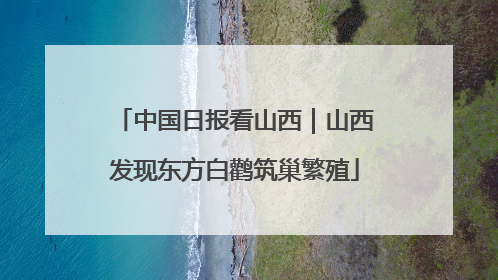 中国日报看山西｜山西发现东方白鹳筑巢繁殖