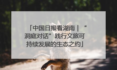 中国日报看湖南｜“洞庭对话”践行文旅可持续发展的生态之约