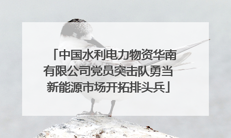 中国水利电力物资华南有限公司党员突击队勇当新能源市场开拓排头兵