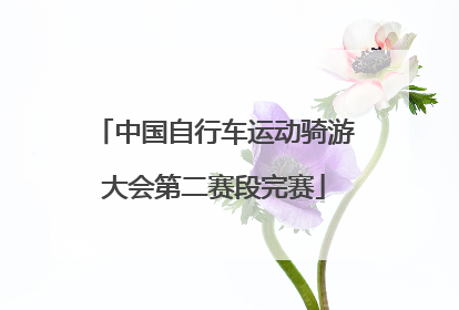 中国自行车运动骑游大会第二赛段完赛