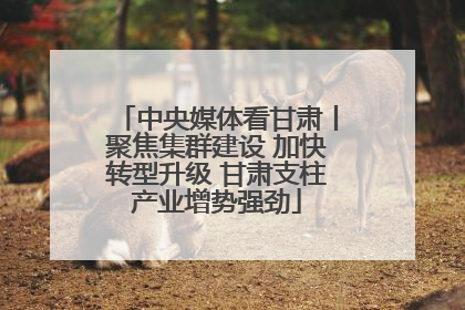 中央媒体看甘肃丨聚焦集群建设 加快转型升级 甘肃支柱产业增势强劲