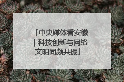 中央媒体看安徽｜科技创新与网络文明同频共振
