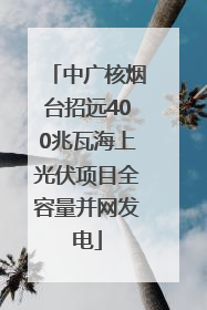 中广核烟台招远400兆瓦海上光伏项目全容量并网发电