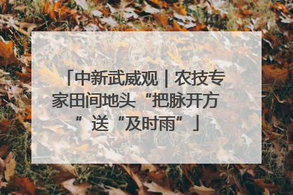 中新武威观｜农技专家田间地头“把脉开方”送“及时雨”