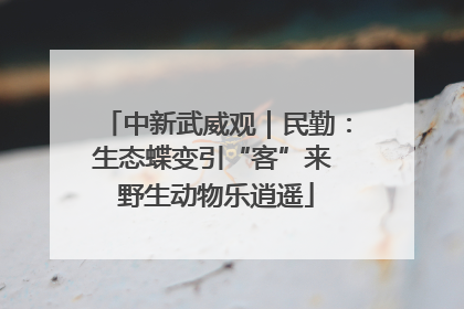 中新武威观｜民勤：生态蝶变引“客”来 野生动物乐逍遥